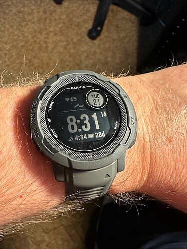 garmin